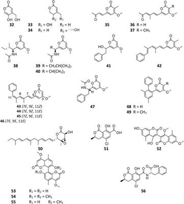 Aspergillus niger as a Secondary Metabolite Factory